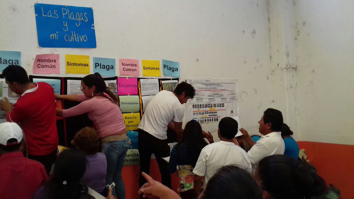 LUISADIAZRIVAS's tweet photo. #PESA_mx Principios del PESA en la FERIA SAN Yecapixtla: Trabajo centrado en la gente. @Mely_Romero @paulinaescobedo https://t.co/nfLPP6lYdb