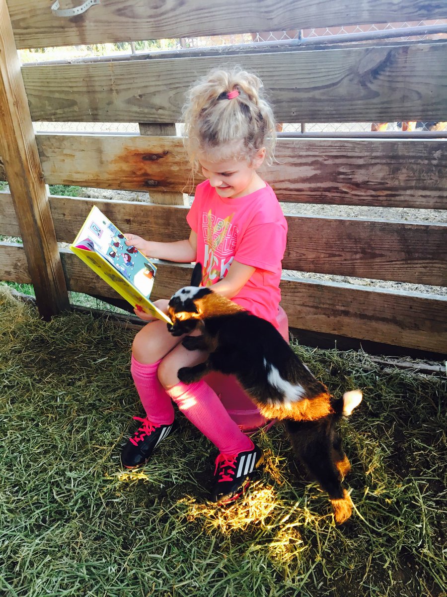 frontier_elem's tweet photo. Kindergartner reading one of her favorite books to her goats after soccer practice #SBreading @pbcsd @supt_avossa @PBCReading https://t.co/5xA3gadLcO