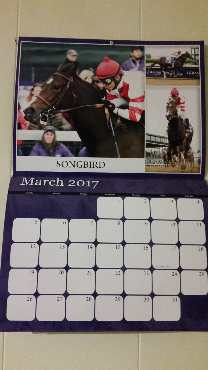 cub1fan1962's tweet photo. Here's @CoadyPhoto calendar horse for March-the impeccable @SongbirdFilly😍 @Fox_Hill_Farm https://t.co/7PfJmjchnw