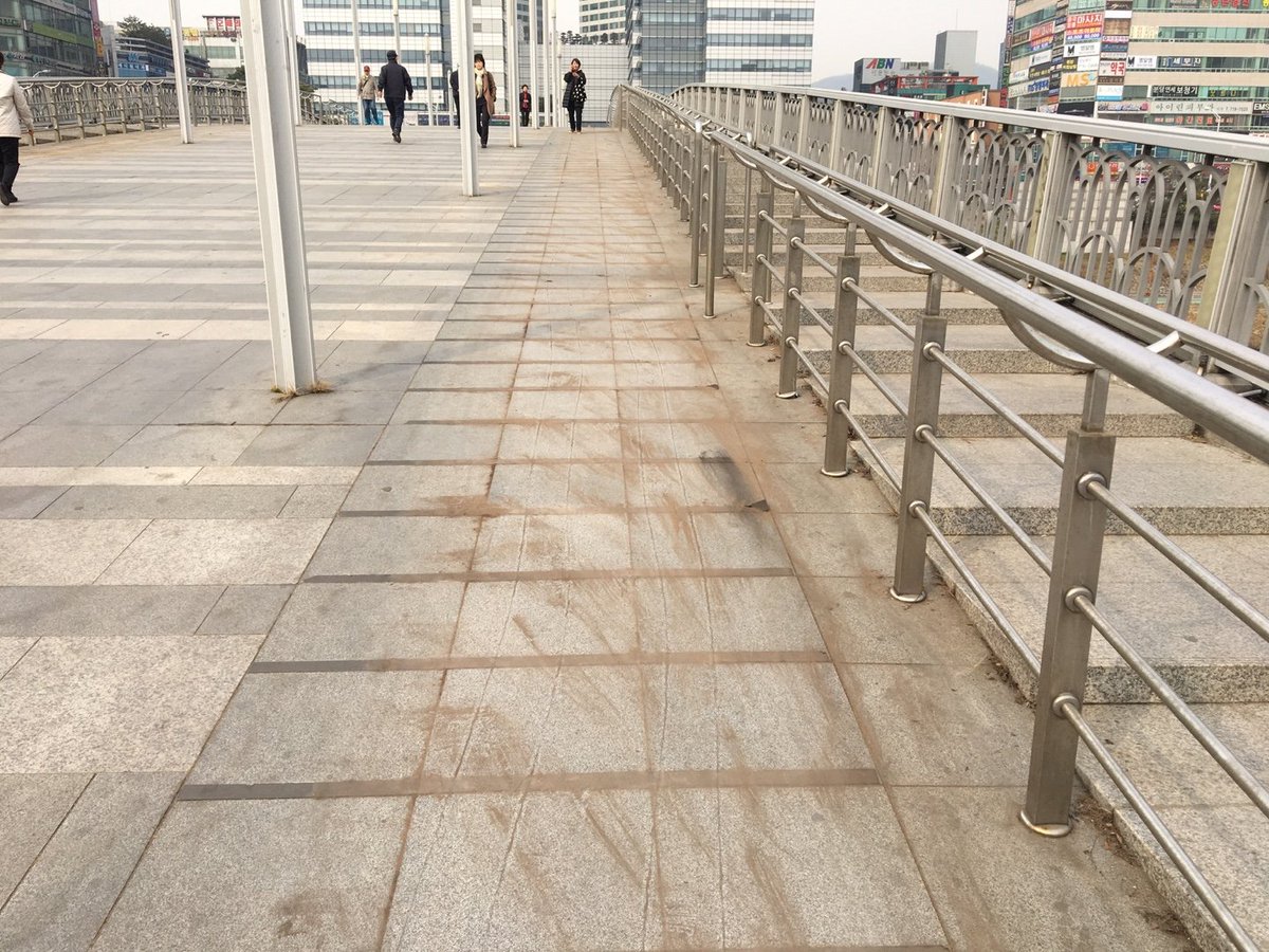 #탄천의_명물_신기교  #정자동의_레드카펫👄

겨울 내 눈길에 시민을 안전을 위해
곱게 깔아놓았던 야자매트를 거두다.🎶☘

#성남시_정자동_신기교를 이용하는 모든분들
마음도 발걸음도 가벼워지시길😉❤👣👣
.🎶🐸

#분당구청_도로관리과_담당하신분_화이팅!