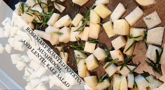 LewisKatie85's tweet photo. ROSEMARY-ROASTED POTATO, MUSHROOM, AND LENTIL KALE SALAD https://t.co/ca5Ipb8js3 https://t.co/N5KTityPdC
