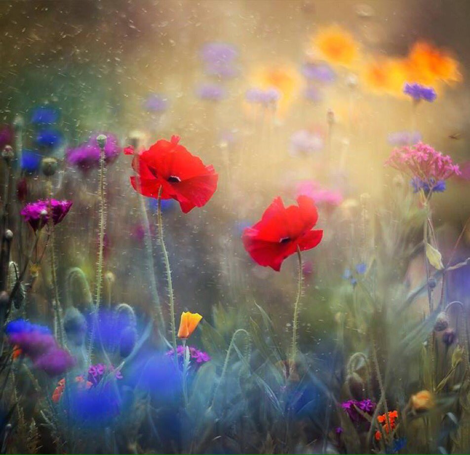 누구도 알아주지 않던..

내 마음을 알아주는
사람이
곁에 존재한다는 건..

모진 세상을 살면서

쉬어갈 수 있는
안전지대를
만들어 주는것이 아닐까요?

내 마음을 알아주는
단 한사람만 존재한다면

그것으로도
힘이되고
살아갈 의미가 되는 것 같습니다