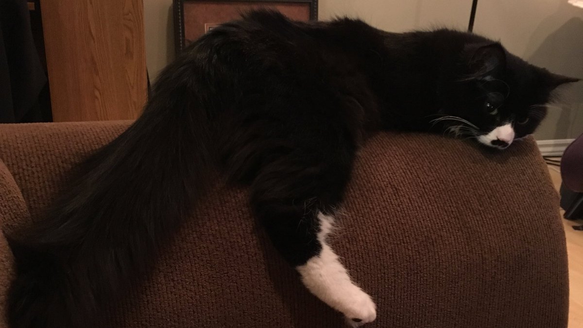 SaraElyse's tweet photo. Ouija and I have truly been on the same level the past two days. #soulmate https://t.co/OIzqMVs4dk