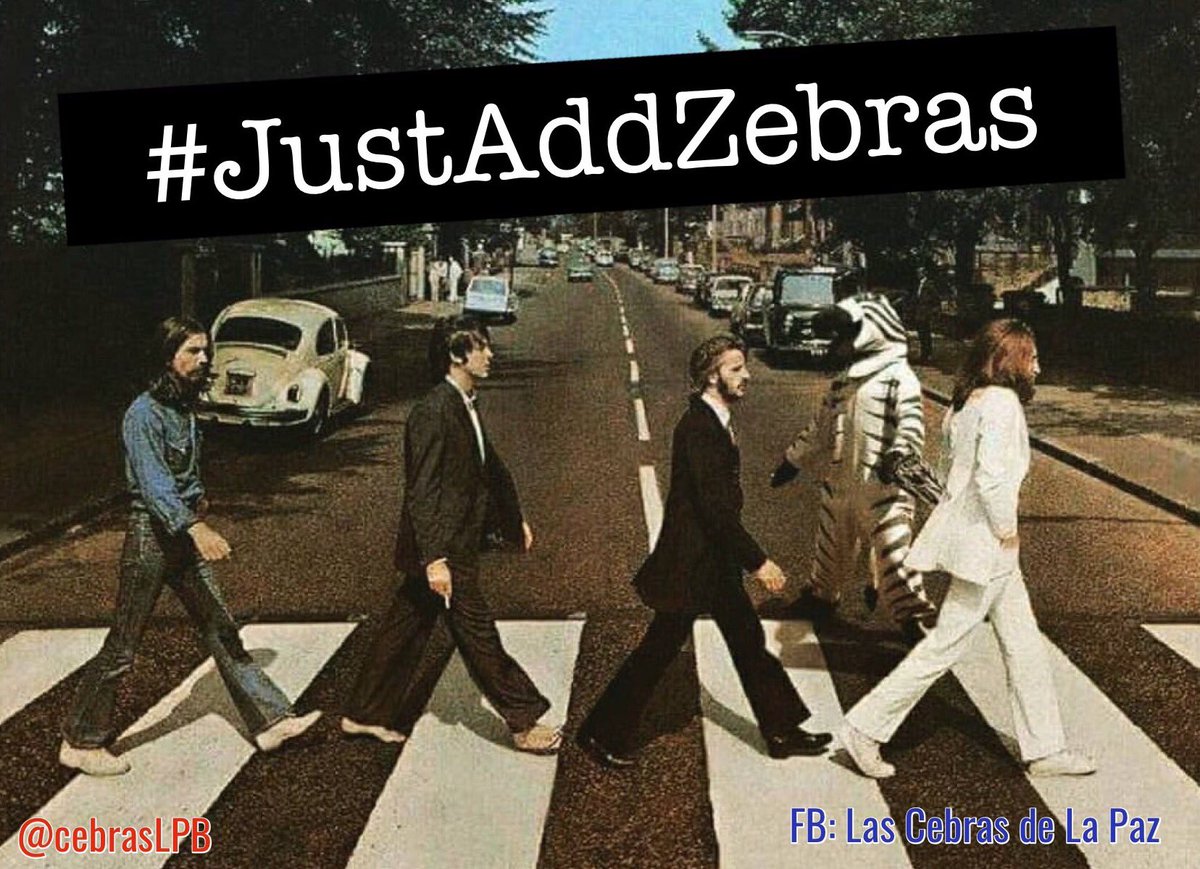 Las Cebras de La Paz tweet media