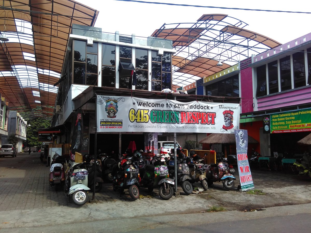 Paddock 6415 Green Respect