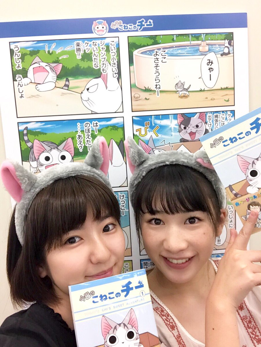 今日のこねこのチー 今日のこねこのチー
