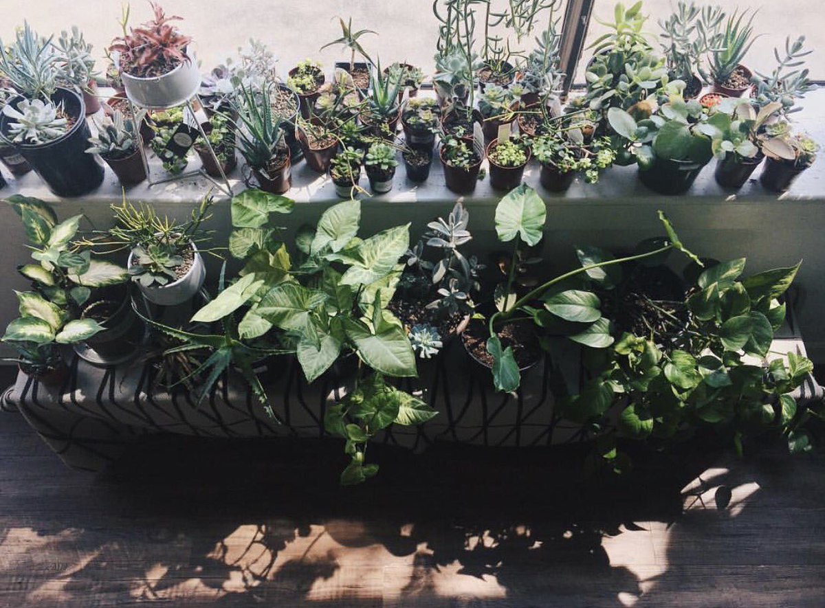 Electric Ghost tweet media