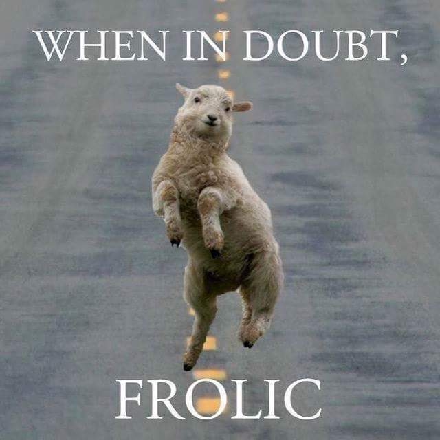 JillyFitzgerald's tweet photo. Never any doubt....😉
#live
#laugh
#love❤ https://t.co/qRsYgDiDwr