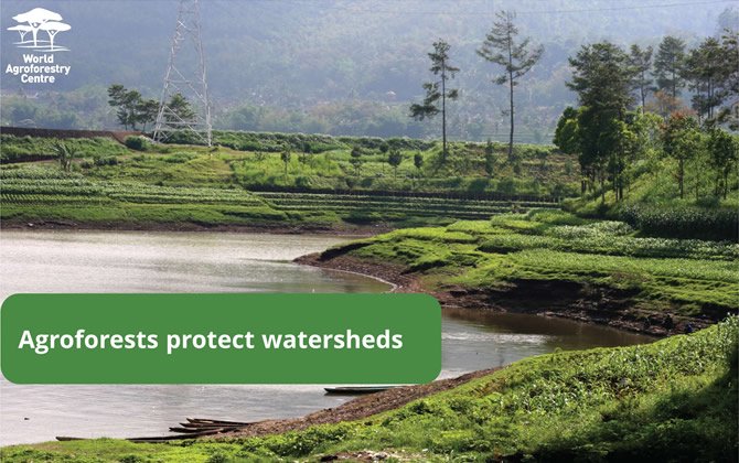 TheLandAlliance's tweet photo. Computer models show agroforestry can repair watersheds #WorldWaterDay #TreesRCool  https://t.co/l866o4buZq https://t.co/Q6aBg1QlUB