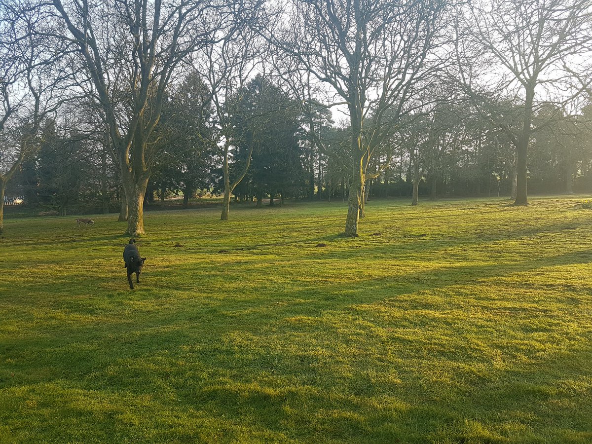Redlodgenorfolk's tweet photo. Sunshine on a spring morning @redlodgenorfolk https://t.co/u61Fj3oXu1