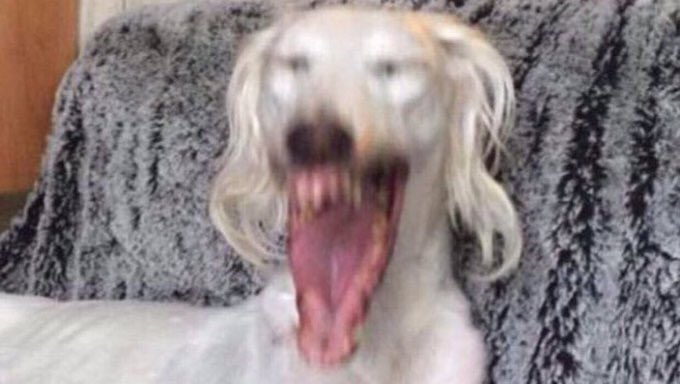 SkeletonInBlue's tweet image. 