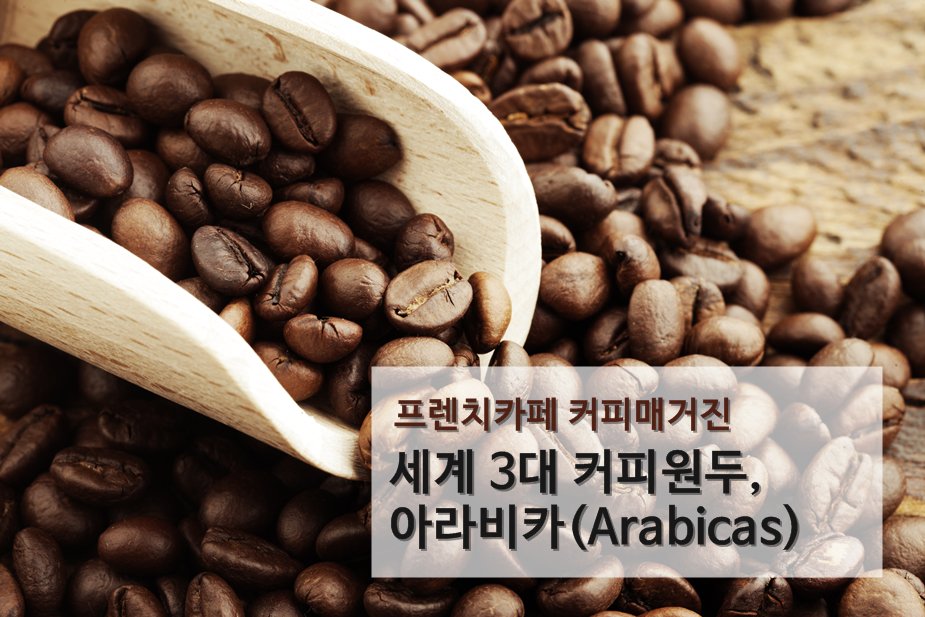 [#프렌치카페 #커피매거진] 세계 3대 커피원두 아라비카, 로부스타, 리베리카 중 세계 커피 생산량의 70%를 차지하는 #아라비카 원두에 대해 알아보세요. 프렌치카페 커피매거진이 소개합니다. ▶ goo.gl/MIyaIW #남양유업