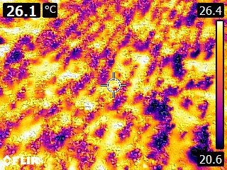 iEKbase's tweet photo. Thermal IR Imaging of Soil Surface for Temperature Calibration for i-ekbase, baby plants are 10-20 deg cooler than surface. https://t.co/NyDp2Ia5dB