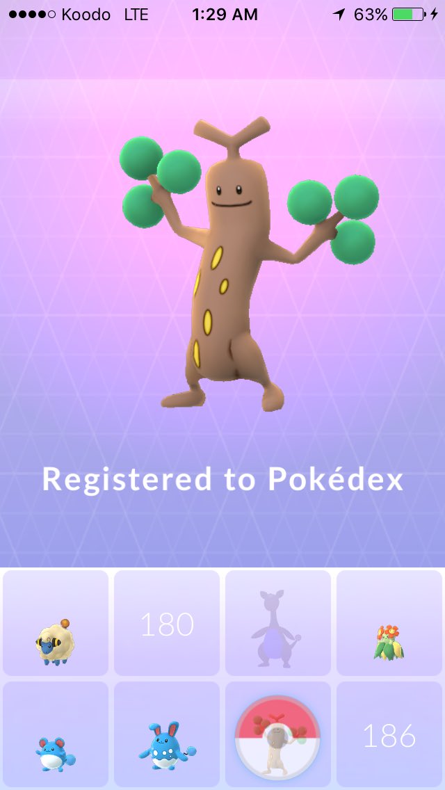 tinytacoturtle's tweet photo. Just caught this moving twig #PokemonGO #TeamInstinct #TreesRCool https://t.co/R6kahP14yD