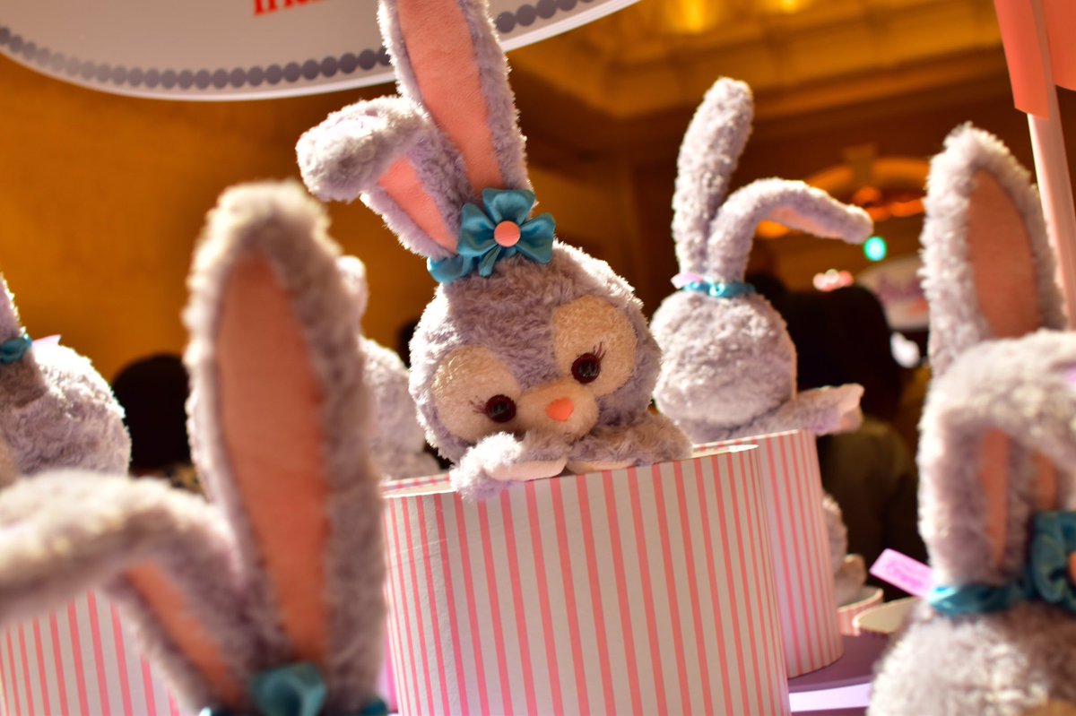 福田朱子 Akane ステラルー ディズニーの新キャラってプリンセスも含めてやっぱベテランキャラには敵わないし あんま執着してなかったけど これは大変だ イースターじゃなくても一年中うさぎに会えることになってしまった てか猫