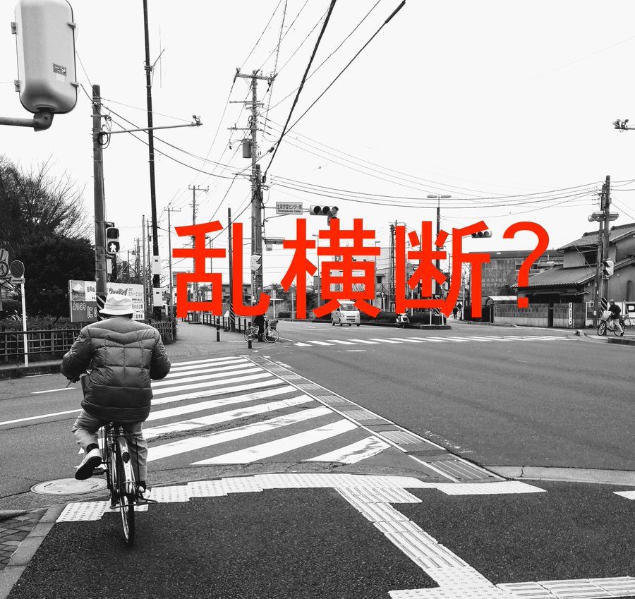 逮捕される 自転車乗りの権利を日本で一番真剣に考える 自活研事務局長に交差点での乱横断について質問した Frame フレイム