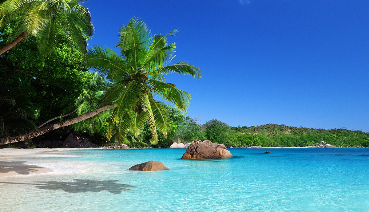 Goanda's tweet photo. Descubre Seychelles por sólo 2.123 euros, 7 noches… https://t.co/85EmNtW4je #Goanda #goanders https://t.co/DEKP5eoDcY