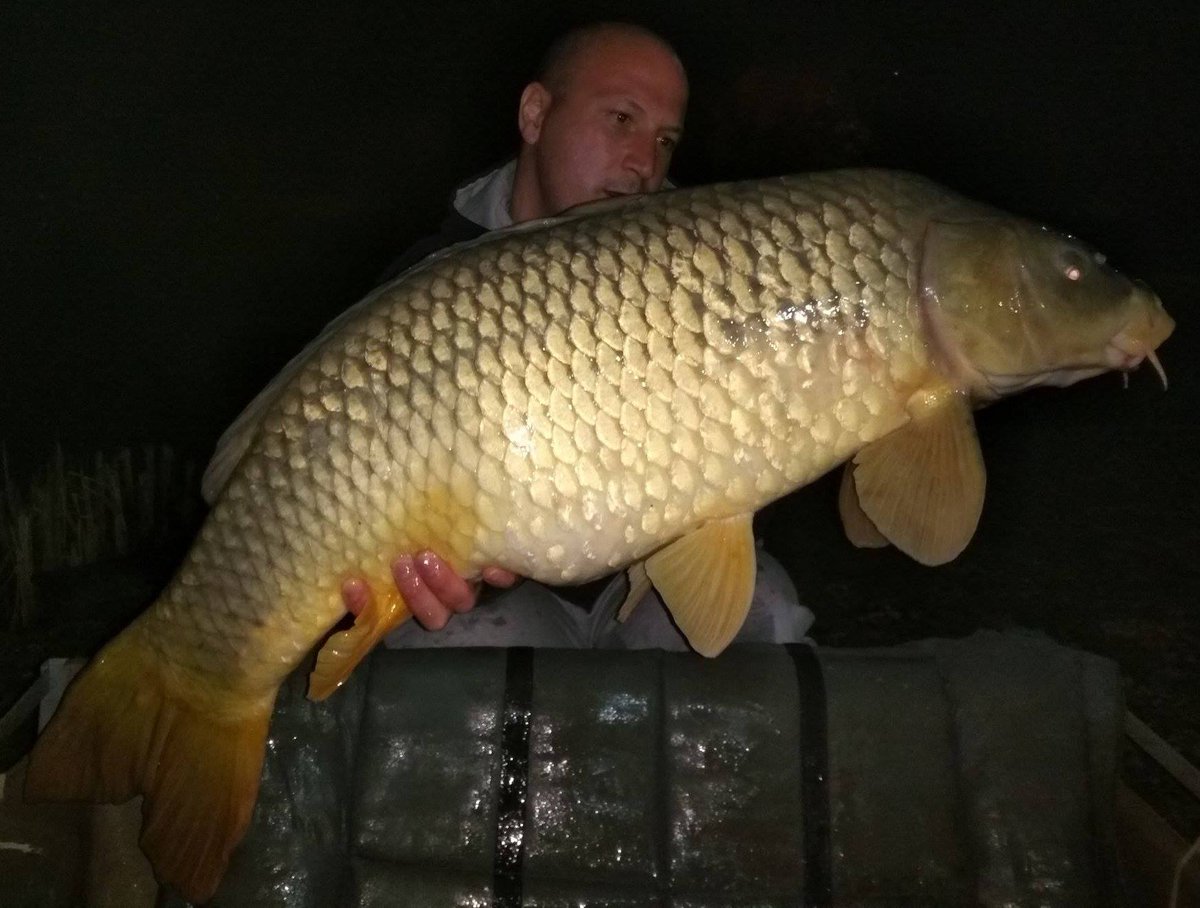Carp_Master_1's tweet photo. #CarpMaster #KDRig #CarpFishing #LovelyTimes @NutrabaitsLive #TriggaIce https://t.co/3rMvl6nWEu