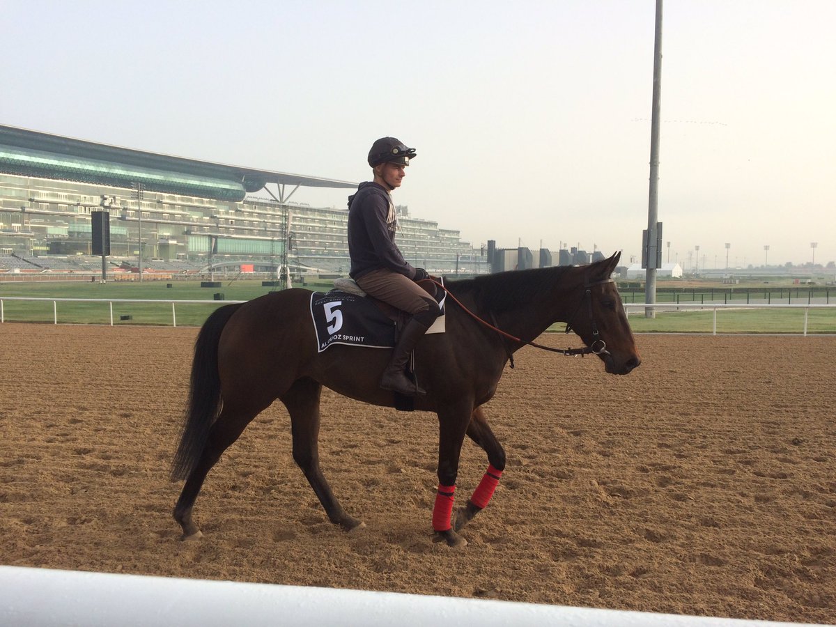 KfordCailler's tweet photo. Quelques-uns des 🇫🇷 en piste ce matin @DRC_Meydan #Handassa #Zarak #FinsburySquare #TheRightMan https://t.co/nffdchdp5r