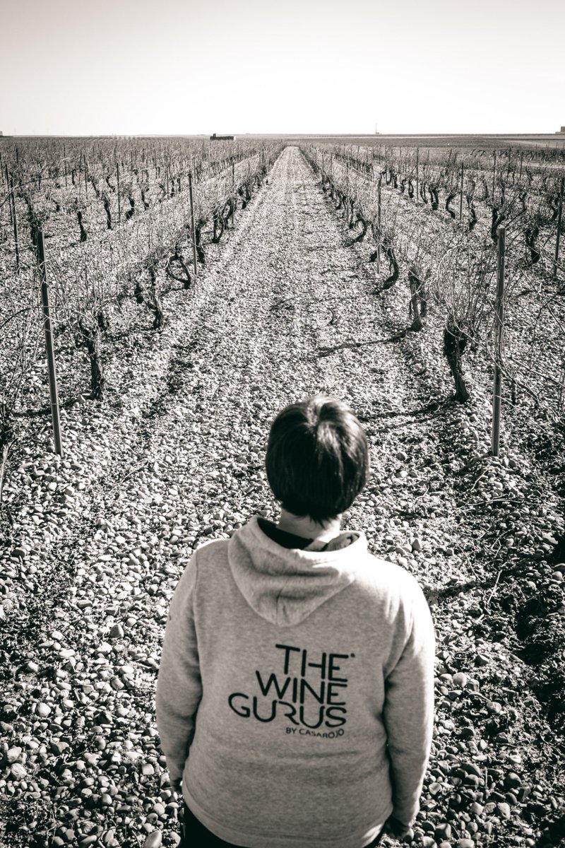 La enología creativa es recorrer el camino, perder la mirada en el horizonte, imaginar esos vinos, llevarlos en el corazón...

#FelizJueves