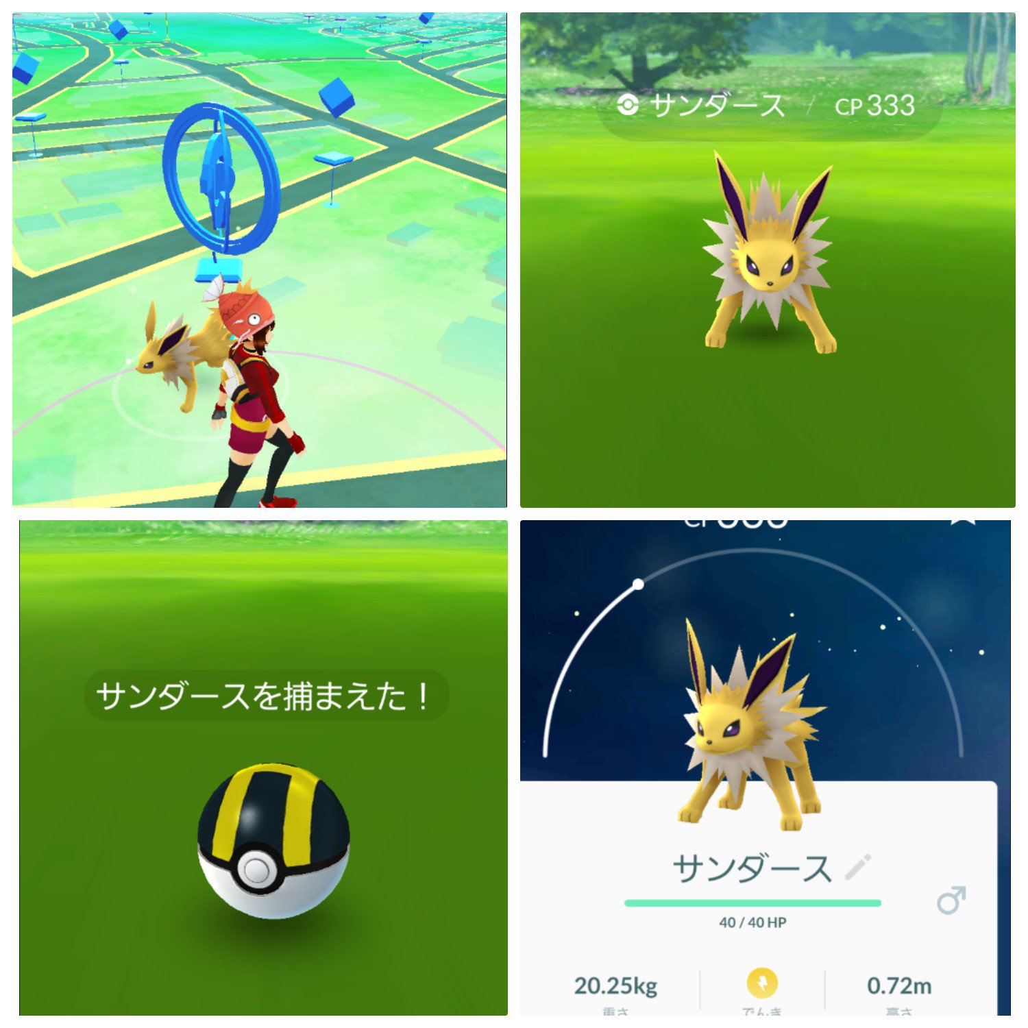 くまこ ポケgo熊本 Pokego Kumako Twitter