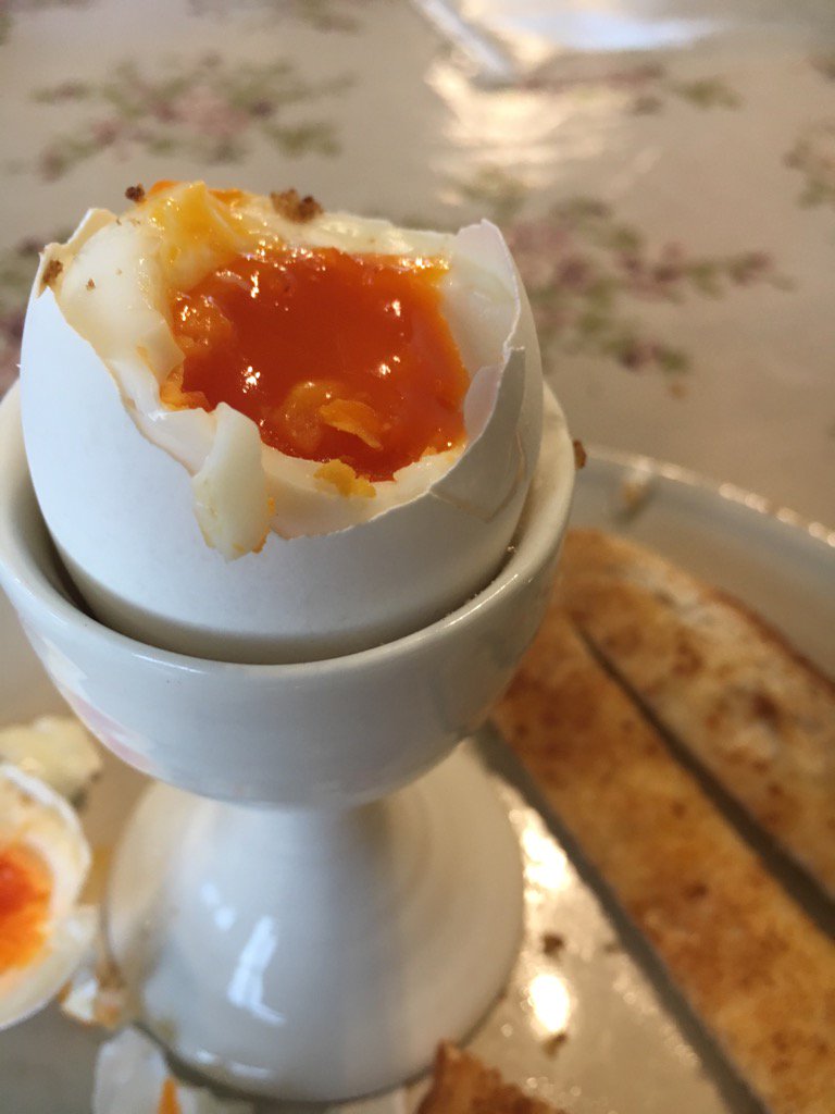 CacklebeanEggs's tweet photo. Is there any better Breakfast? 😍🍳🐓🥚#ArlingtonWhite #CackleBean #Delicious #ExquisiteEggs https://t.co/Gm9Np4qTZn