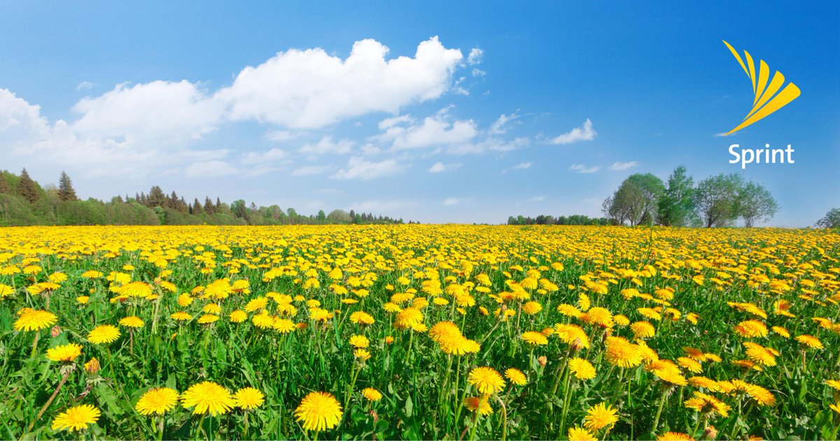 SprintConway's tweet photo. #DidYouKnow in the southern hemisphere, #Spring starts in September? https://t.co/KWqXNDgZ36