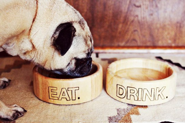 In honor of #NationalPuppyDay here are some fun #DIY projects for your pooch! bzfd.it/2mvJICZ