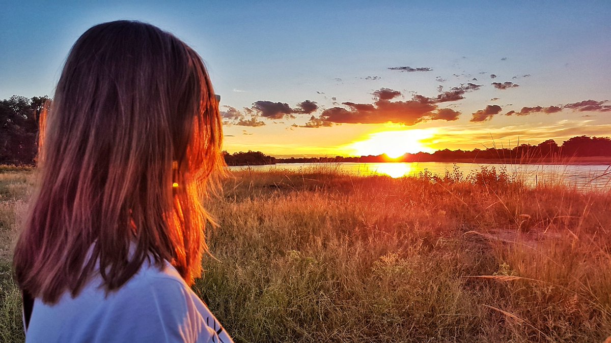 🌍 Los atardeceres en Zambia son especiales junto al río Luangwa, con los hipopótamos de fondo. ¡No se puede pedir más! 🌅 #LivingAfrica