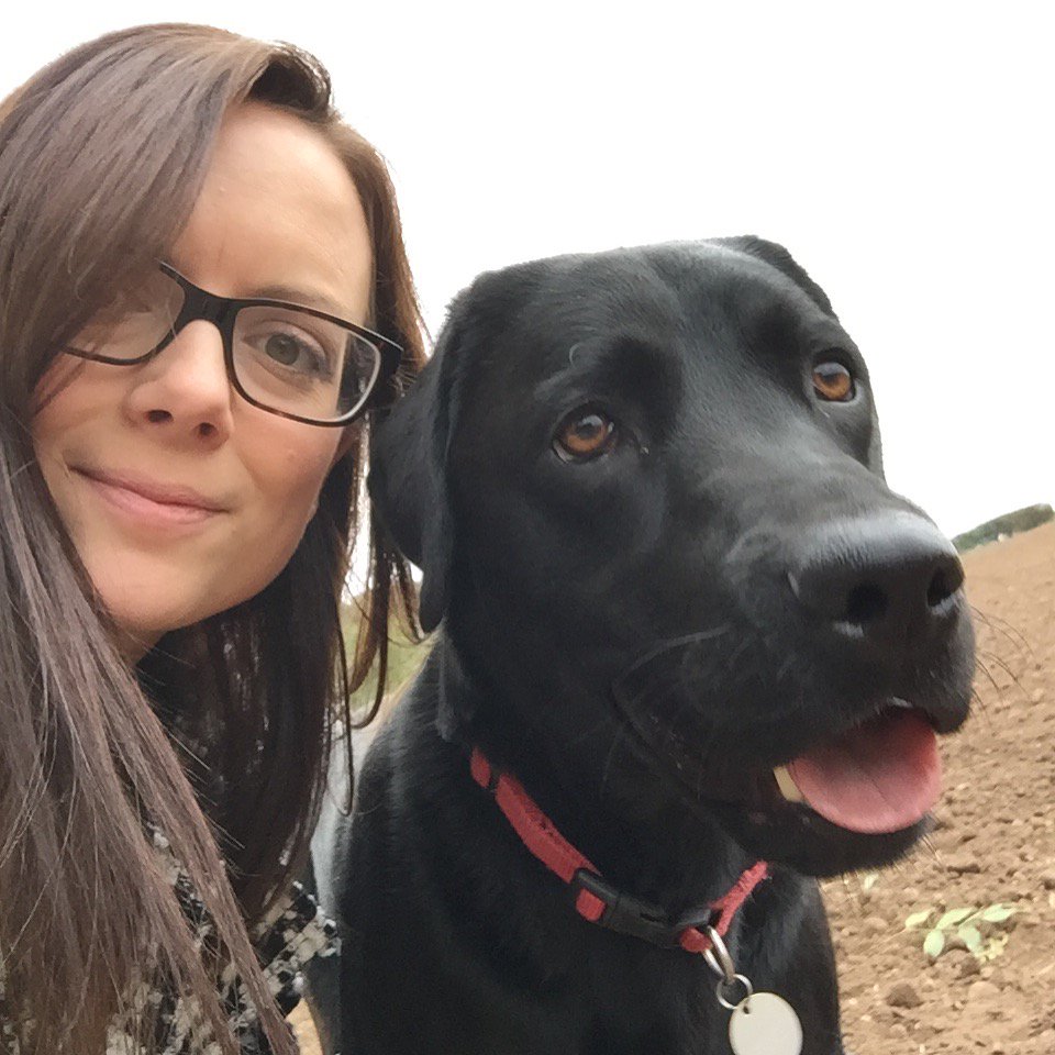 lidz_2000's tweet image. Missing my handsome boy on #NationalPuppyDay as he is holidaying in Wales while we have our kitchen done