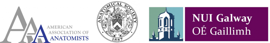 AnatomyOrg's tweet image. The @anat_soc "Anatomists on the Edge" meeting reg closes next month (Apr. 30). Lots of AAA folks also presenting.bit.ly/2kAS3U0