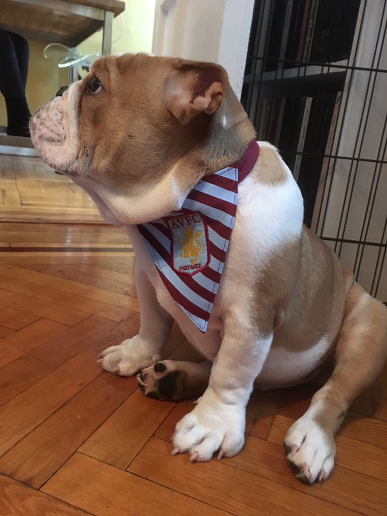 Richard Harris tweet media