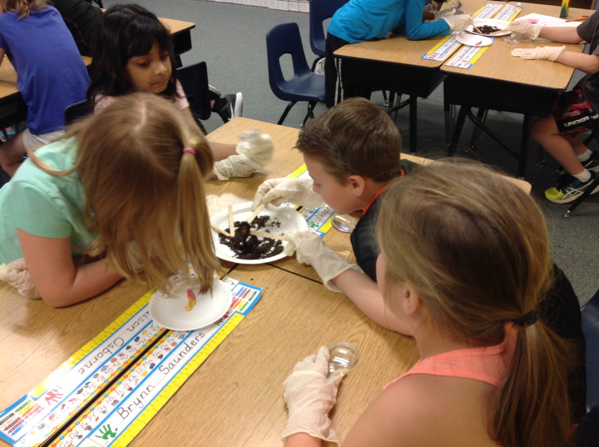 thompsonfrogs's tweet photo. Investigating and comparing living and nonliving things with earthworms and gummy worms@DonaldES#young scientists https://t.co/pidMgIzIX9