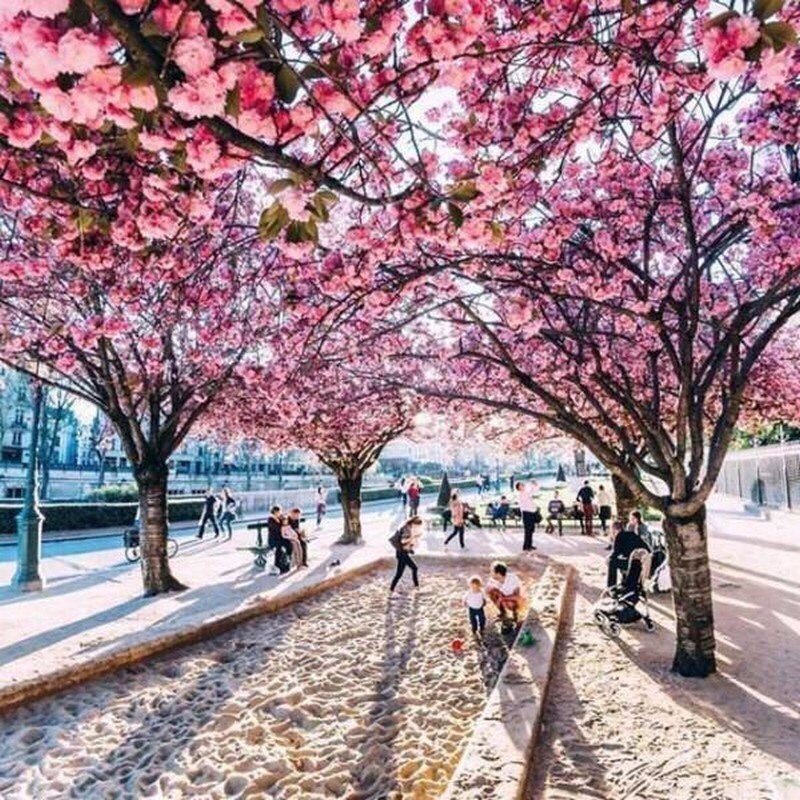 granerpred3914's tweet photo. Fashion #Beauty beautiful words beautiful words #natural #health #NewMusicMonday https://t.co/JZ4YKABagG