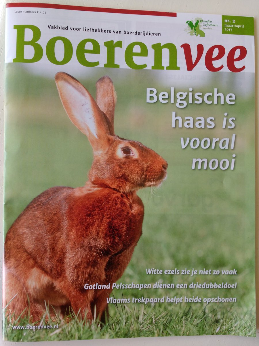 Leuk stukje over ons vlees en bloemen deze editie van #boerenvee