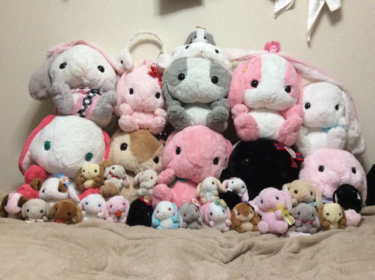 ポニーに乗った王子どこ V Twitter ステラルーとかいう新キャラ うさぎ だけど顔はジェラトーニ う うん 別にアンチってわけではないけど可愛いけどぽてうさロッピーの方がやっぱり比べると可愛い 灬 灬 やっぱり私はぽてうさロッピーさんが一番