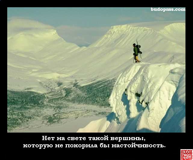 budopass.com