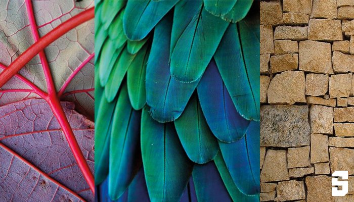 SB Projects tweet media