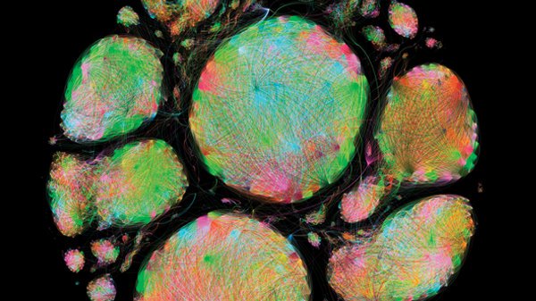 EdSciFest's tweet photo. What happens when art and science connect? Join us as we launch a new exhibition – Contemporary Connections – 31 Mar https://t.co/sDsx42qwPX https://t.co/RURONn7l6w