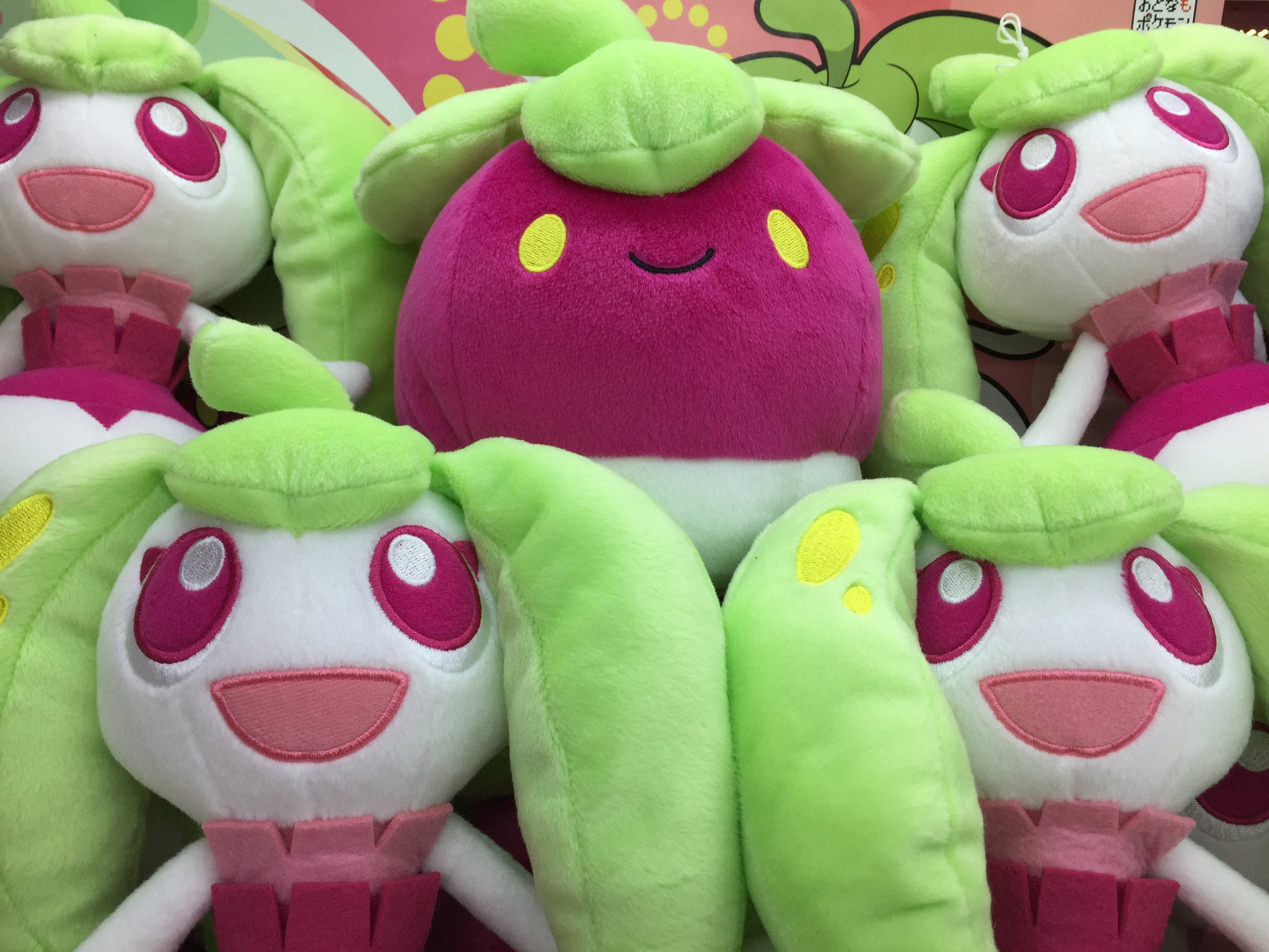 Pokeshopper X Pokeshopper Notice Pokemon Banpresto Bounsweet Steenee 17cm plush released in Japan https t IrF7nMsBr2 https t 3elsy6EM0M X