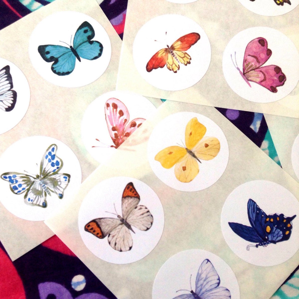 chilliipeppa's tweet photo. Watercolour butterfly stickers, Stickers watercolour butte⦠https://t.co/L8fNd1kz7l #planneraddict #ButterflySticker https://t.co/AAfcRjLNwT