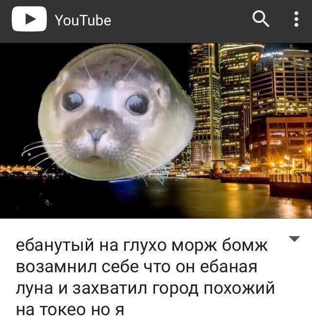 C7mJObpVUAE4MAu.jpg