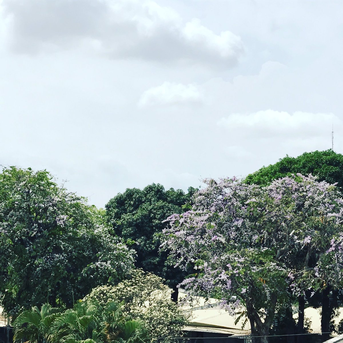 Rithy (@mamrithi) on Twitter photo 