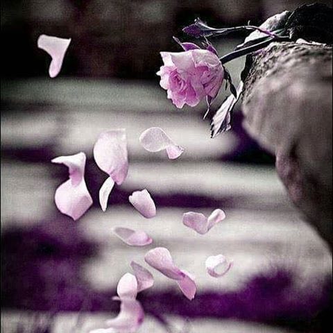 تمطر لـ غيري من حنانك سحايب
ويموت قلبـي بين أيـاديك عطشان