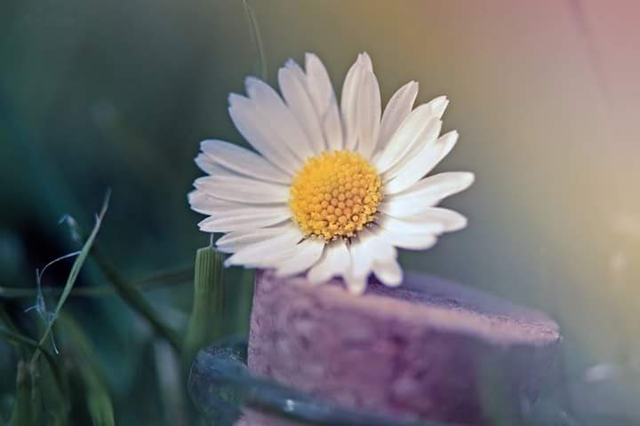 rasoolkhetran's tweet photo. السلام علیکم 

" ﺳﻔﯿﺪ ﺭﻧﮓ ﮐﯽ ﻃﺮح بنو۔ ﺳﻔﯿﺪ ﺭﻧﮓ ﻣﯿﮟ ﮐﻮﺋﯽ ﺑﮭﯽ ﺭﻧﮓ ﻣﻼئو ﻧﯿﺎ ﺭﻧﮓ ﺑﻦ ﺟﺎﺋﯿﮕﺎ، ﻣﮕﺮ  ﺩﻧﯿﺎ ﮐﮯ ﺳﺎﺭﮮ ﺭﻧﮓ ﻣﻼ ﮐﺮ ﺑﮭﯽ ﺳﻔﯿﺪ ﺭﻧﮓ ﻧﮭﯿﮟ ﺑﻨﺘﺎ https://t.co/RQsF9q5yGi