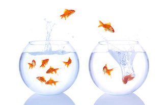 'Het Taboe Van De Zanderij' ow.ly/YKlZ30ab8dK #Hillegom <a href="/gem_hillegom/">Gemeente Hillegom</a> <a href="/pvdahillegom/">PvdA Hillegom</a> @SanderBoschma <a href="/Annemieke_vDijk/">Annemieke van Dijk</a> <a href="/BBHillegom/">BBH</a>