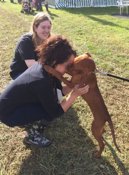As it is #NationalPuppyDay thought I would share this handsome little fella from last years <a href="/northdevonshow/">North Devon Show</a> #Puppy #Happiness #Wellies