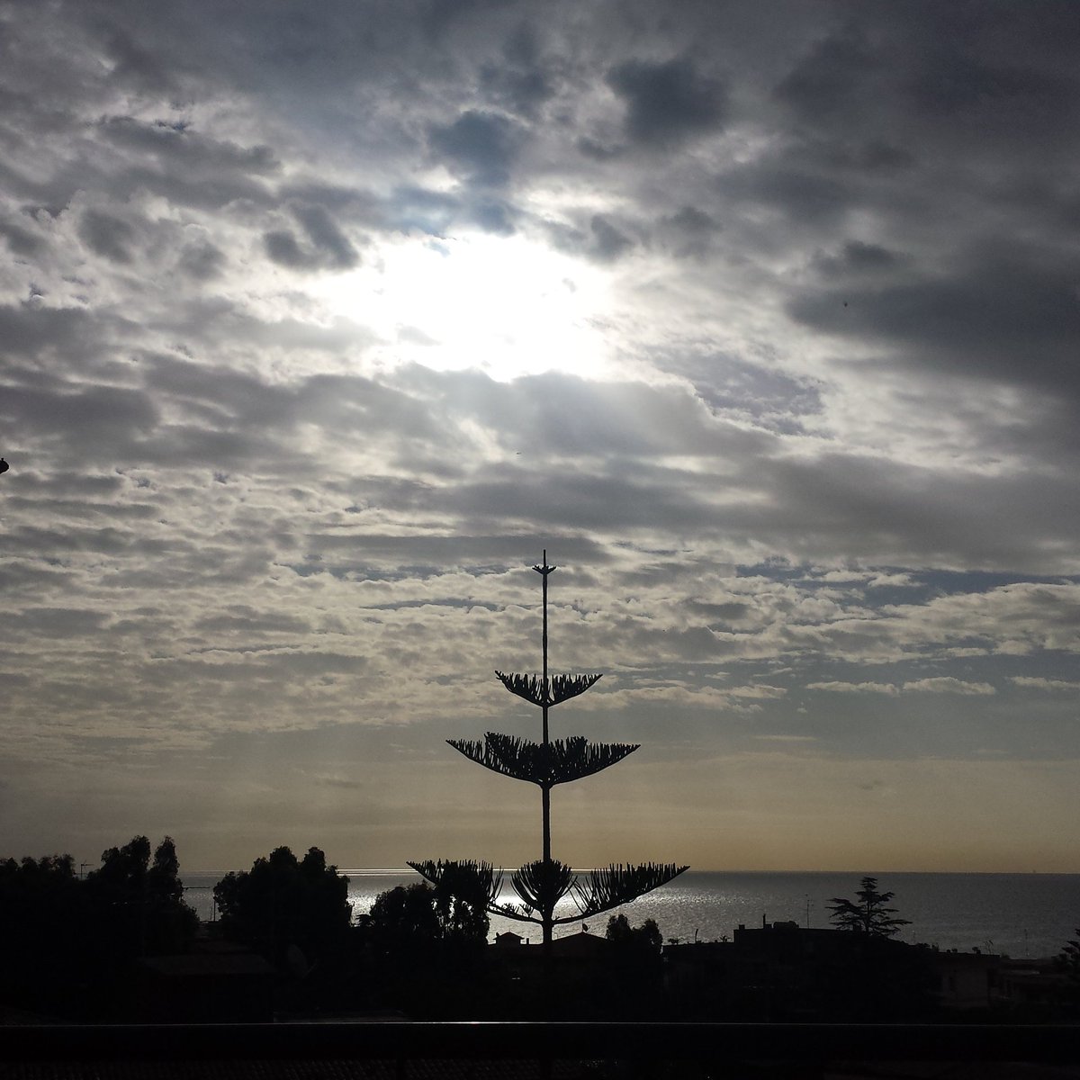 maya_maz's tweet photo. Insegnami a non sprecare il tempo che mi rimane - L'ombra della luce #FrancoBattiato #VersoDelGiorno #23marzo #WorldMetDay #thursdaytought https://t.co/s3NXvhHNqQ