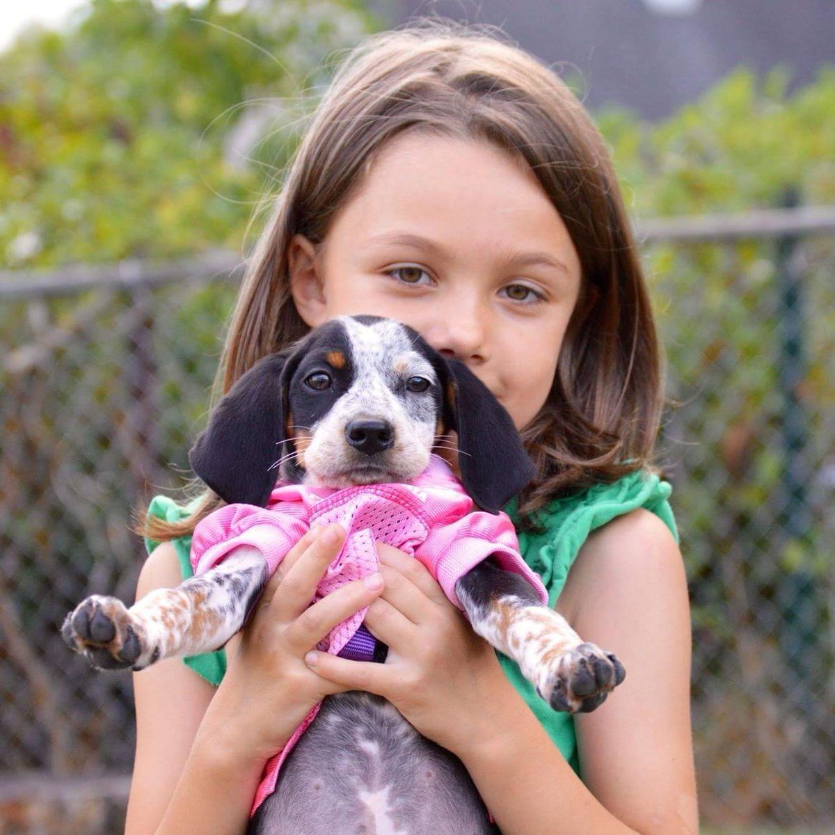 CouzinEd's tweet photo. Talulah and her best pal, Farmer Rose.
#Fox19GoodDay
#AlexHolleyFox29 https://t.co/Lr4hAjAJX3