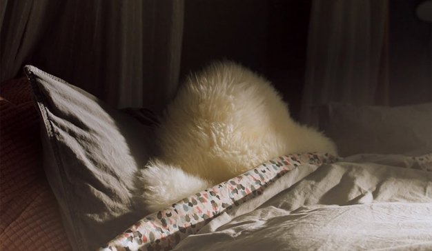 mkdirecto's tweet photo. ¿Y si los muebles de IKEA tuvieran vida? Así lo imagina este entrañable spot https://t.co/hwKh6UIw3G https://t.co/bT3losR92C